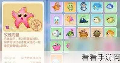 摩尔庄园手游，许愿龟神秘出没之地大揭秘