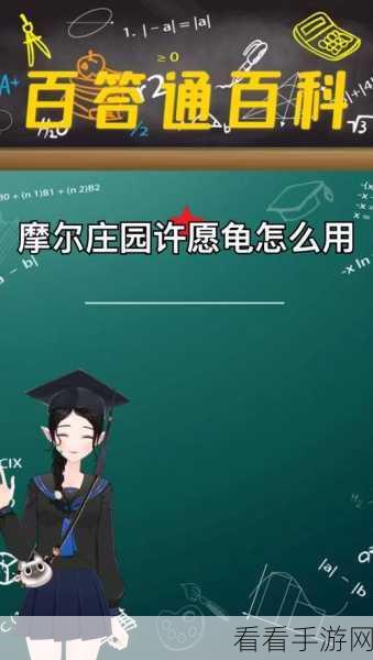 摩尔庄园手游，许愿龟神秘出没之地大揭秘