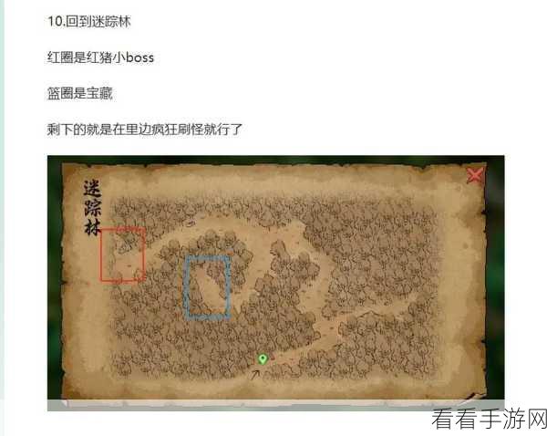 大侠立志传，探寻迷踪林藏宝图的神秘所在