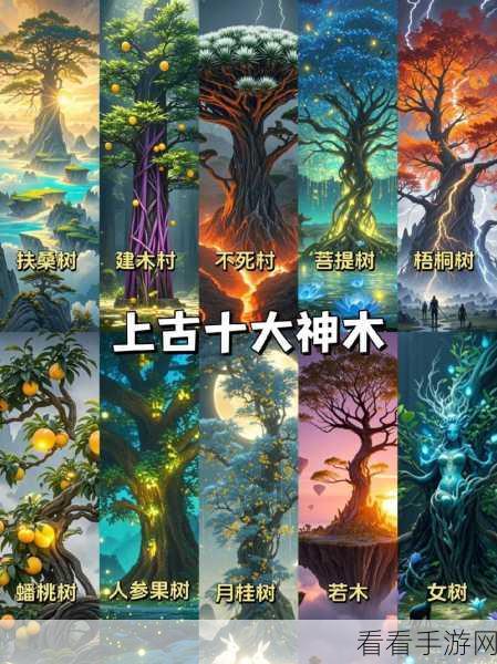 小森生活，探寻茁壮绯树的神秘所在