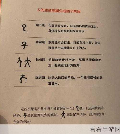 文字的力量，破解造句 4 关卡的秘籍指南