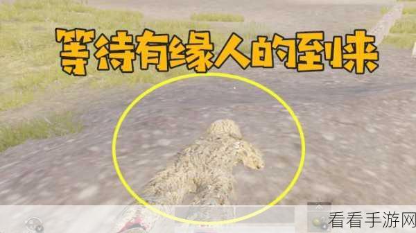 绝地求生，巧破伏地魔 制敌秘籍大公开