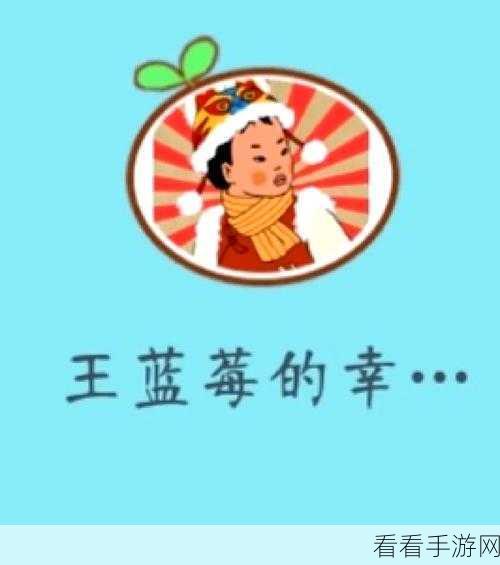 王蓝莓的幸福生活第 1 章，精彩玩法与通关秘籍