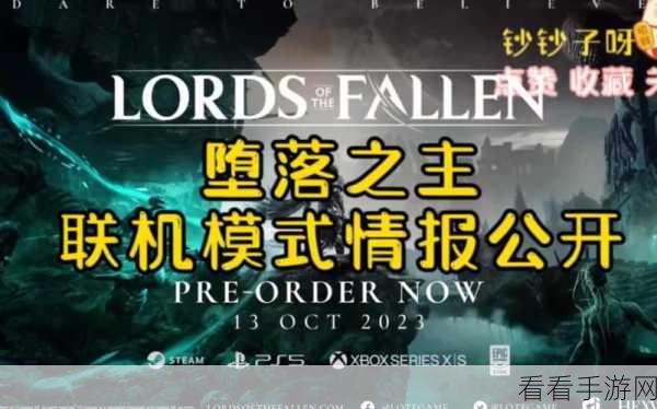 堕落之主联机秘籍大揭秘