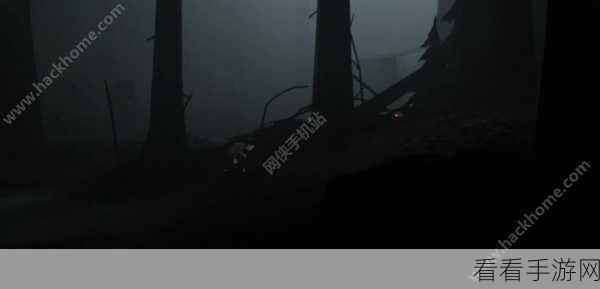 点灯第五章通关秘籍——详细攻略助你突破难关