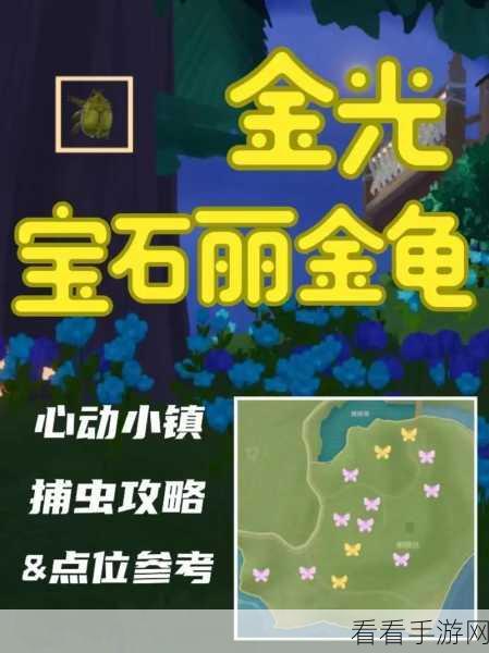 心动小镇，金光宝石丽金龟精准捕捉秘籍