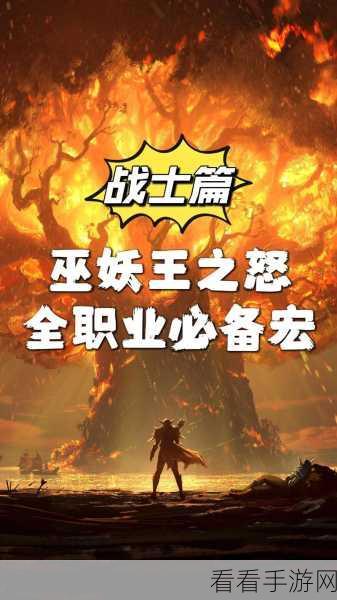 巫师之怒，战士玩法与加点全解析