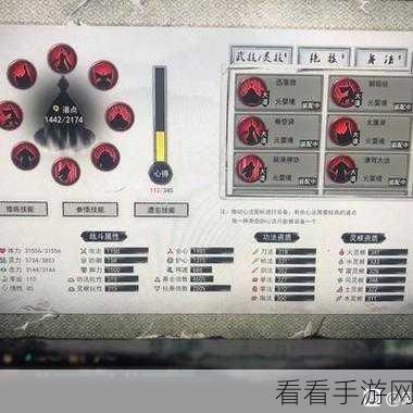 鬼谷八荒道心查看秘籍，轻松掌握查看之道