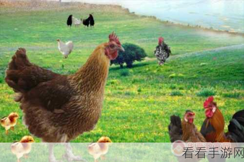 西游新牧场，动物养殖致富秘籍大揭秘