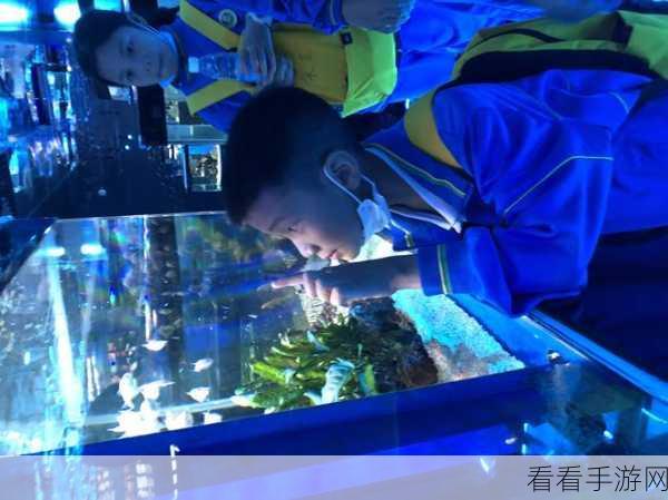 原神海洋书究竟有多少本？深度揭秘海洋书奥秘