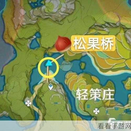 原神松果轻松获取指南，购买位置大揭秘