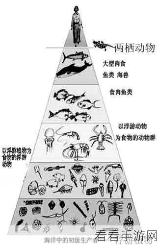 探秘海底冒险记，顶级 T0 阵容组合秘籍