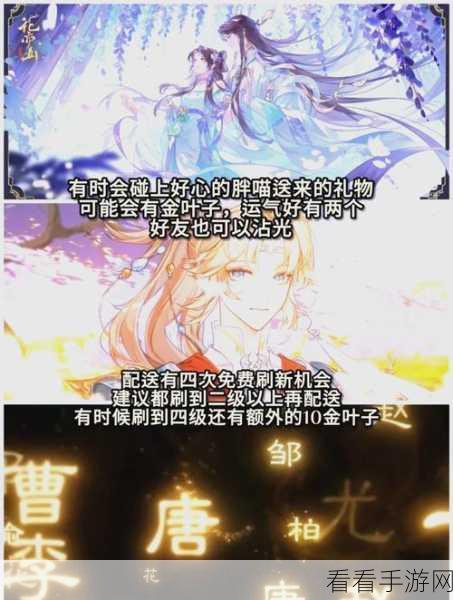 花亦山心之月伊王古迹，通关秘籍与超强阵容大揭秘