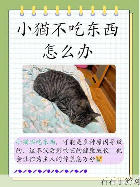 动物餐厅，贪吃猫咪设施解锁秘籍大揭秘