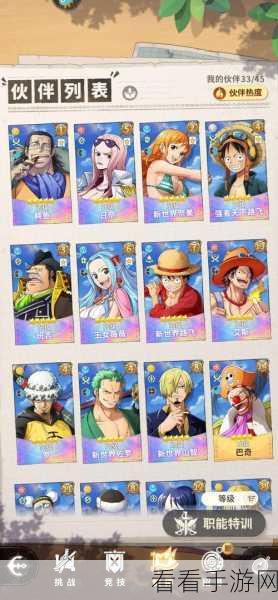 航海王梦想指针珍稀兑换码大曝光