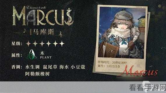 重返未来 1999 马库斯灯塔集超详细玩法攻略指南