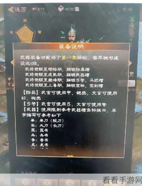 三国志战棋版，深度解析飞将所望的强大作用与攻略秘籍