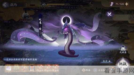 阴阳师 SP 八岐大蛇御魂精选攻略，助你实力飙升
