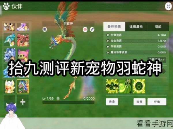 创造与魔法，40 级能否捕获心仪坐骑？攻略大揭秘！