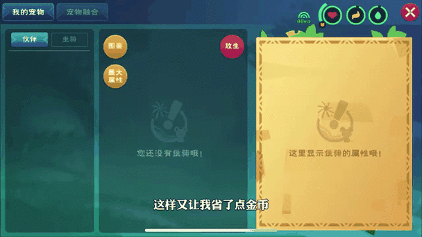 创造与魔法，40 级能否捕获心仪坐骑？攻略大揭秘！