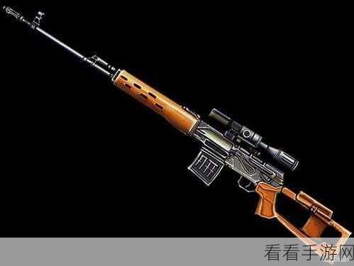 生化危机 5 机枪获取秘籍大公开