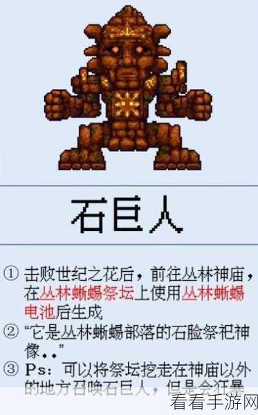 探秘泰拉瑞亚，石巨人召唤秘籍大公开