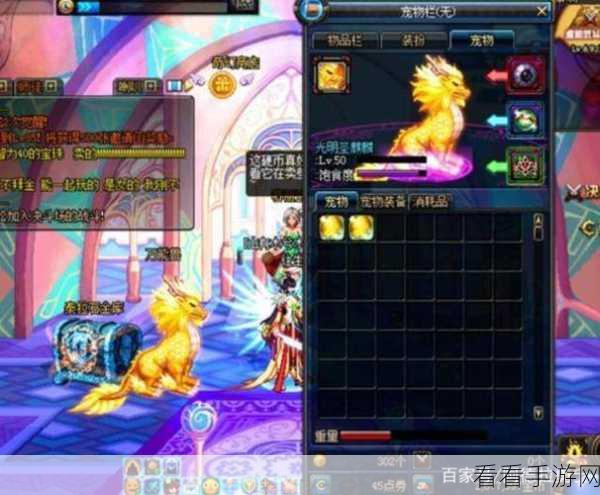探秘 DNF 可爱虎属性，开启游戏新篇章