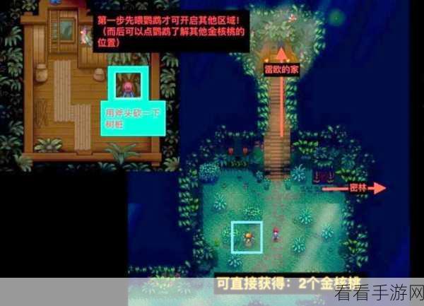 星露谷物语，金核桃藏匿之处大揭秘