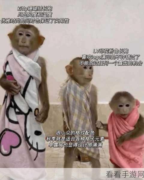 探秘吗喽，网络用语背后的含义