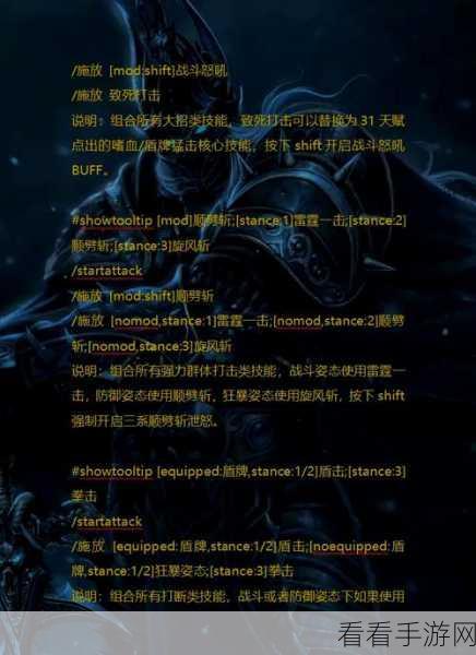 魔兽世界 WLK 怀旧服，圣骑士宏命令全方位指南