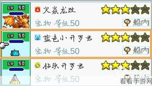 探秘大航海探险物语，小开罗君的获取与价值