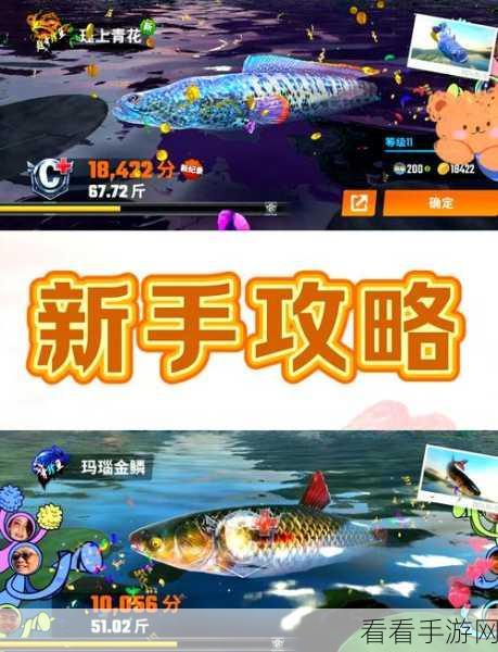 欢乐钓鱼大师，新手必知的绝密技巧大揭秘