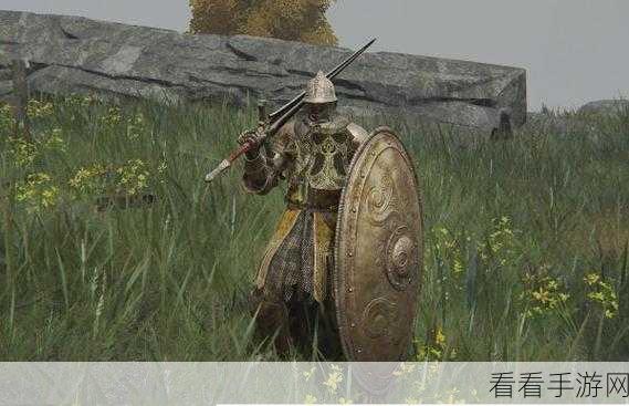 艾尔登法环，金黄大盾神秘获取攻略大揭秘