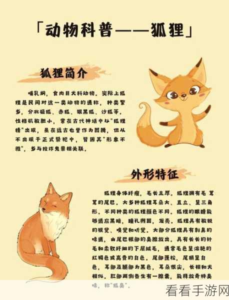 探秘动物餐厅，解锁小狐狸的神秘信件秘籍