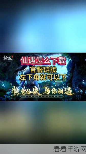 仙遇秘籍，极速提升修为的独家法门