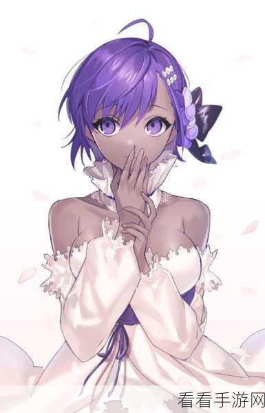 FGO 静谧哈桑羁绊礼装存在的证明全解析