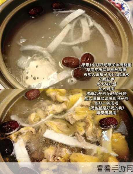黑暗料理王，南阳椰子鸡的秘制配方与制作秘籍