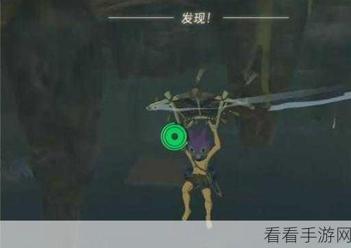 塞尔达传说王国之泪，汀空衣服获取秘籍大公开