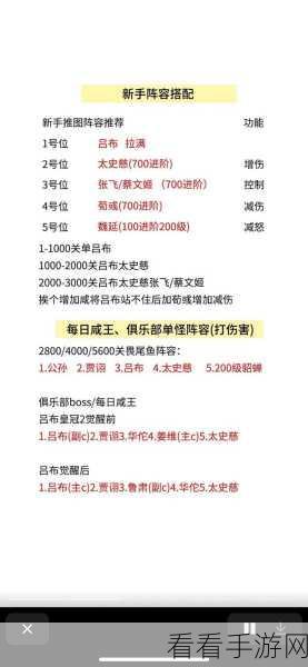 咸鱼之王，司马懿主 C 阵容输出短板补齐秘籍