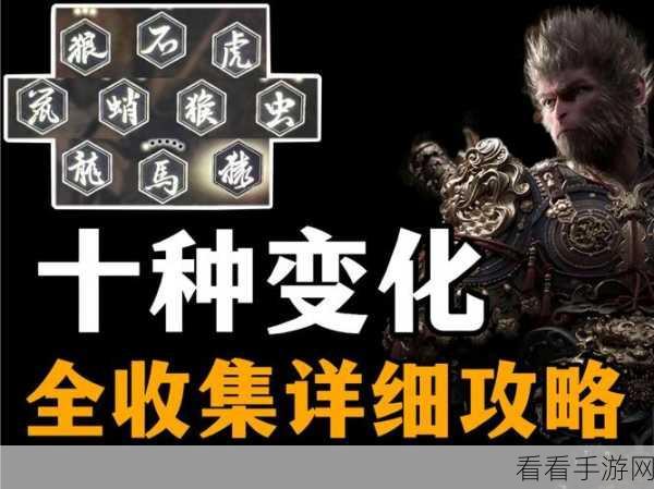 必知！黑神话悟空预购奖励领取全攻略