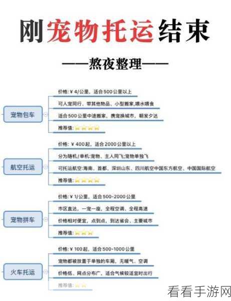 小猫咪大城市回家秘籍，巧妙攻略指南