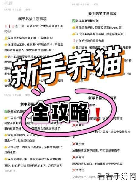 小猫咪大城市回家秘籍，巧妙攻略指南