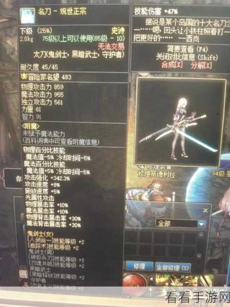 DNF110 版本刃影，实力解析与深度探秘