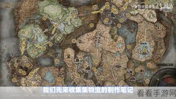 艾尔登法环黄金树之影 DLC，绘画宝藏全揭秘