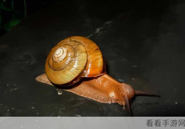 探秘幻塔,食腐蜗牛密集分布地大揭秘