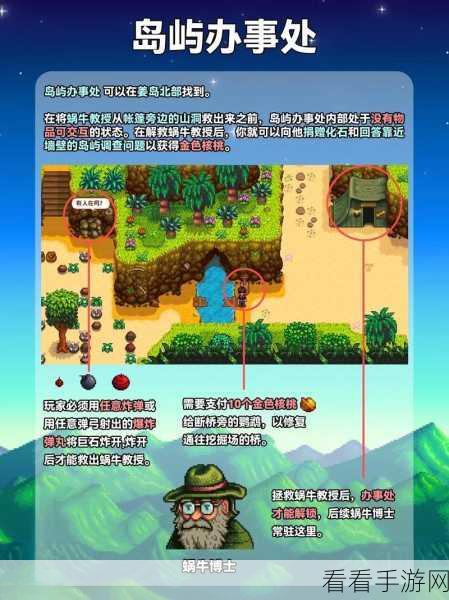 星露谷物语姜岛探秘，详细指南与必备攻略