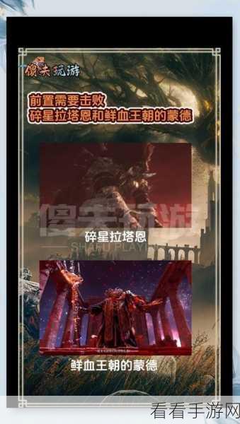 艾尔登法环黄金树之影 DLC 开荒必备武器指南