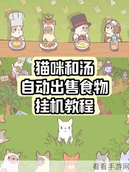 猫咪和汤烹饪设施大揭秘！