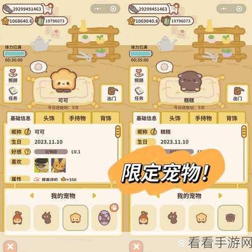 动物餐厅必买设施大揭秘，用途超乎想象