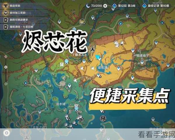 原神霓裳花采集全攻略，最佳地点与路线大揭秘